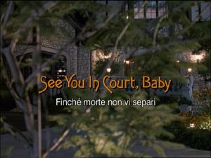 See You In Court, Baby