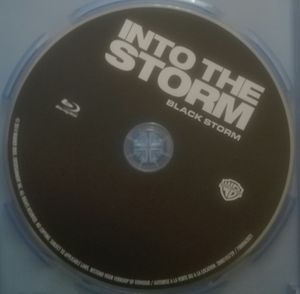 Into the Storm