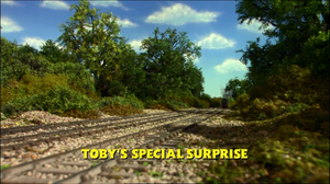 Toby's Special Surprise