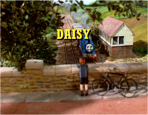 Daisy