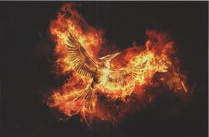 The Hunger Games - Complete 4-Film Collection