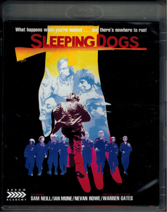 Sleeping Dogs