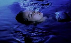 Björk: Human Behaviour