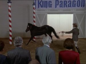 From The Horse's Mouth