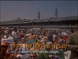 From The Horse's Mouth