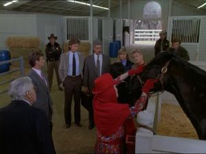 From The Horse's Mouth