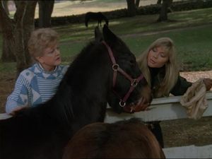 From The Horse's Mouth