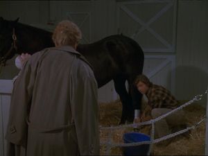 From The Horse's Mouth