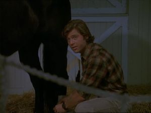 Maxwell Caulfield