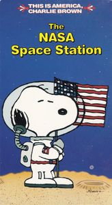 The NASA Space Station