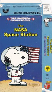 The NASA Space Station