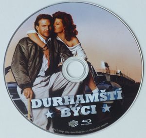 Durhamšti býci