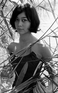Greta Chi