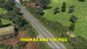 Thomas And The Pigs