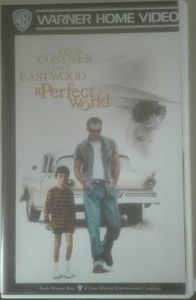 A Perfect World