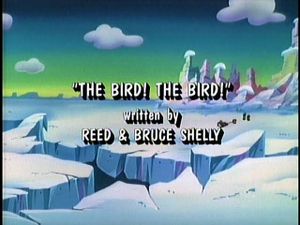 The Bird! The Bird! / Neatness Counts