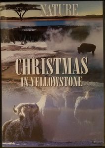 Nature: Christmas In Yellowstone