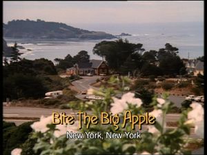 Bite The Big Apple