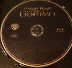 Fantastic Beasts: The Crimes Of Grindewald