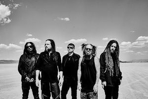 Korn (2)