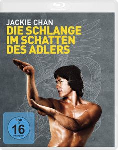 Die Schlange Im Schatten Des Adlers