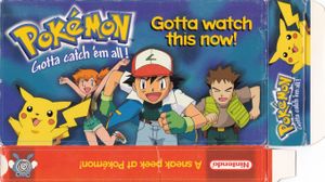 Pokémon: Gotta Watch This Now!
