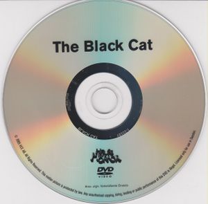 The Black Cat