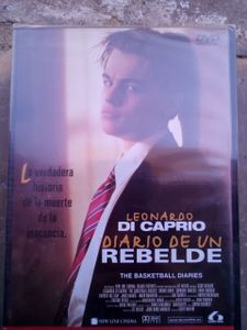 Diario de un rebelde