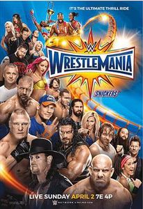 WWE: WrestleMania 33