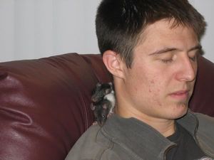 Shawn Toovey
