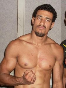 AR Fox