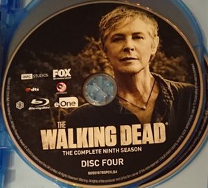 The Walking Dead: The Complete Ninth Season