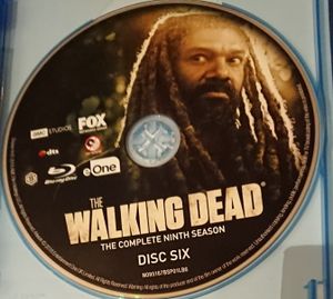 The Walking Dead: The Complete Ninth Season
