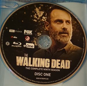 The Walking Dead: The Complete Ninth Season
