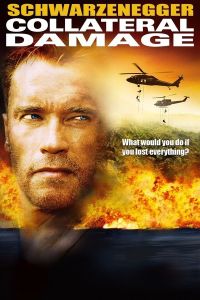 Collateral Damage