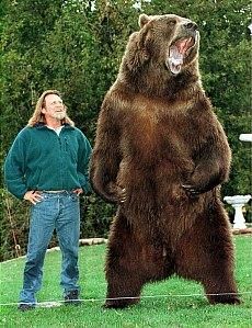 Bart The Bear