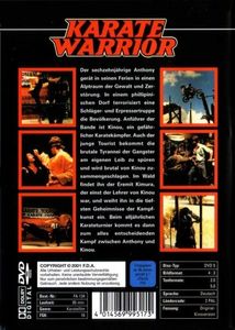 Karate Warrior