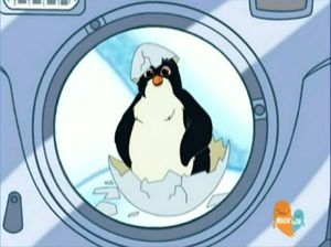 Macky The Macaroni Penguin