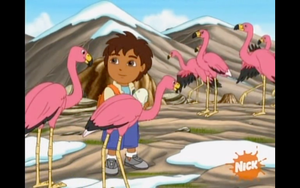 A New Flamingo Mommy