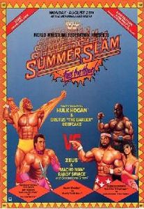 WWF: SummerSlam 1989