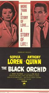 The Black Orchid