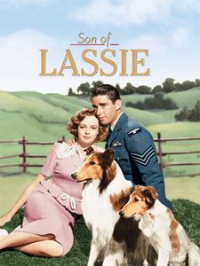 Son Of Lassie
