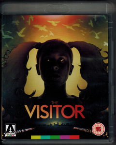 The Visitor