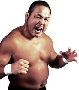 Manabu Nakanishi