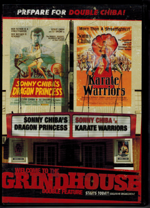Dragon Princess | Karate Warriors