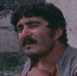 Ayton Sert