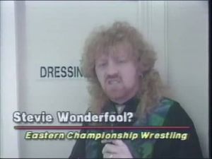 Stevie Wonderful