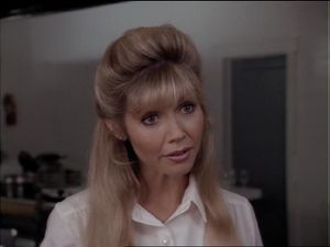 Debra Stipe