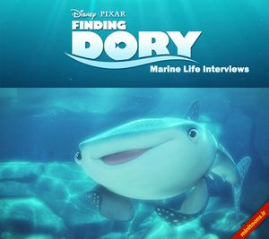Marine Life Interviews