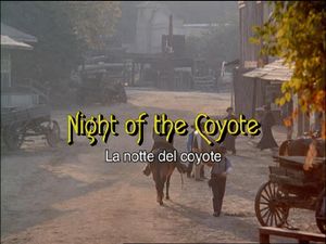 Night Of The Coyote